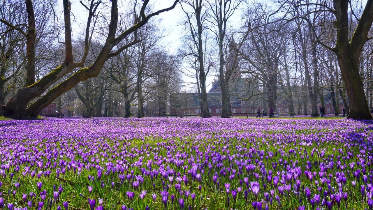 Moderne Kuestenbutze In Nordseenaehe Mildstedt
