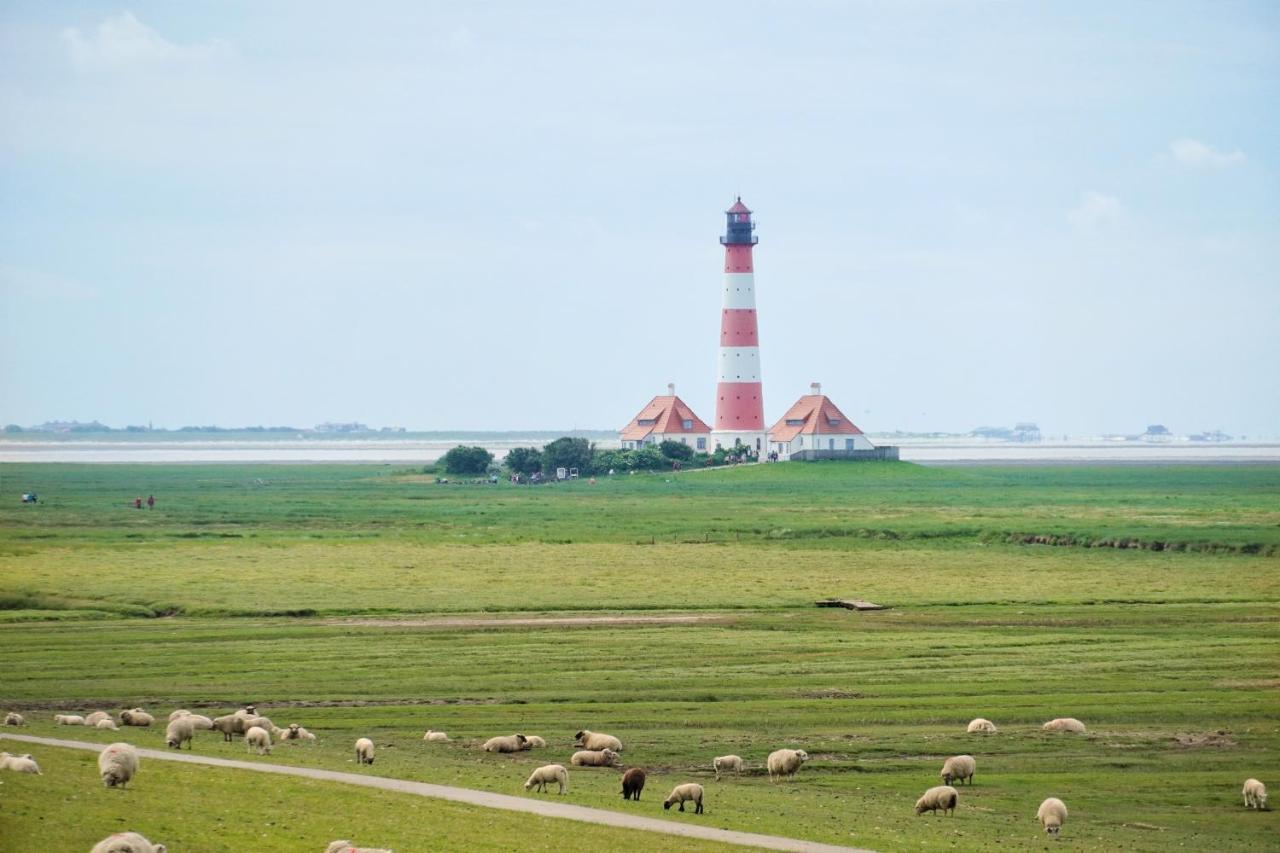 Moderne Kuestenbutze In Nordseenaehe * Mildstedt